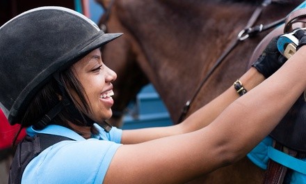 $32 for 45-Minute Semi-Private Horseback-Riding Lesson for One at Luton Performance Horses ($35 Value)