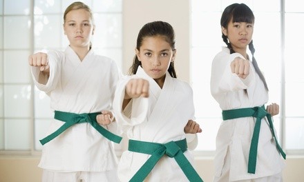 Up to 63% Off on Martial Arts Training at Northwest Taekwon-Do