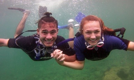 One-Hour Snorkeling Tour for One or Four at Gold Coast Scuba (Up to 45% Off)  