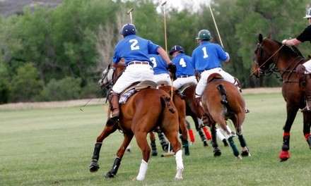 Admission for One, Two, or Four to Friday Night Lights Polo Game at Seneca Polo Club (Up to 27% Off)