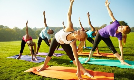 Up to 58% Off on Yoga Classes at Barre Balance Yoga Flow