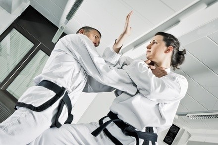 $52 for $149 Worth of Services — Motivate Martial Arts