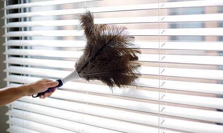 Up to 58% Off on Custodial Cleaning at Nature Maid