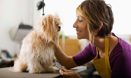 Grooming for a Small, Medium, or Large Dog at Preppy Pet (Up to 34% Off)