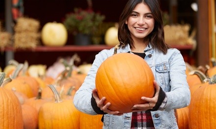 Adult Admission to Pumpkin Fest at Pettit Creek Farms (Up to 30% Off). Two Otpions Available.