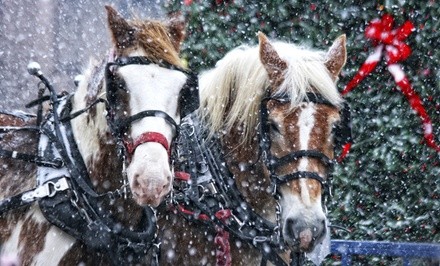 Holiday Clydesdale Hayride for One on December 15 or December 31 at Denver Equestrians (Up to 21% Off)