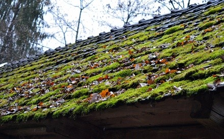 Up to 90% Off on Roof Moss Removal at Fresher Pressure Washing