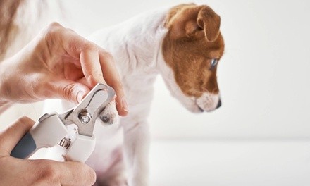 Up to 35% Off on Dog Nail Clipping at Woof Gang Bakery & Grooming Aventura