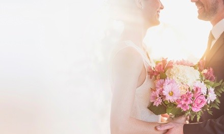 Up to 87% Off on Wedding Photography at Free Game Productions