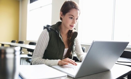 Online Business Administration Course at Bright Light Education (60% Off)