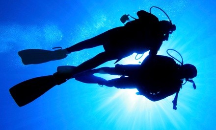 Up to 43% Off on SCUBA Certification at Epic Diving Adventures