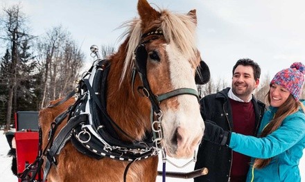 Hay Ride on December 15, or Carriage Ride on December 31 at Denver Equestrians (Up to 16% Off)