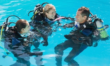 PADI Scuba Referral or Certification Course for One, Two, Three, or Four from One Ocean Scuba (Up to 45% Off)