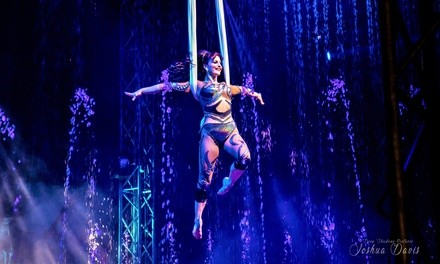 Cirque Italia (November 11–14)