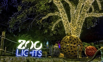 Single-Day Admission to Whataburger Zoo Lights at San Antonio Zoo from 11/20/2021 to 1/2/2022 (Up to 10% Off)