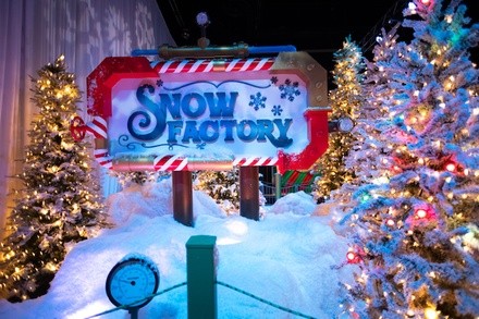 Snow Flow Mountain at Gaylord Palms (November 19, 2021 – January 2, 2022) 