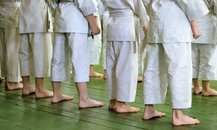 Up to 86% Off on Martial Arts Training at Alliance Jiu Jitsu Keller