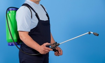 Disinfectant Spray Cleaning from The Right Clean Company (Up to 25% Off). Three Options Available.