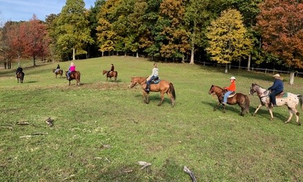 Horse Riding Experience at Victory Stables (Up to 37% Off). Seven Options Available.