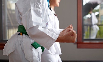Up to 51% Off on Martial Arts Training for Kids at Silver Fox Brazilian Jiu Jitsu Academy [Coral Springs]