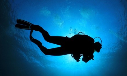 PADI Discover Scuba Diving Class for One, Two, Three, or Four People at Y-kiki Divers (Up to 46% Off)