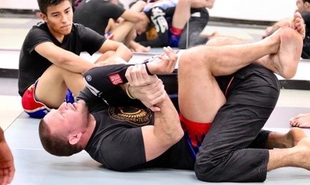 Up to 55% Off on MMA Classes at The Bronx Combat Club