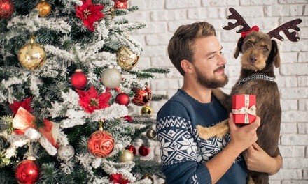 Five-Foot or Taller Christmas Tree ​at Mr. Jingles Christmas Trees (Up to32%￼ Off). Two Options Available