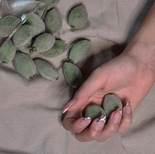 Color Gel Manicure, Gel Pedicure, or UV Gel Extensions at PinkFile (Up to 41% Off). Four Options Available.