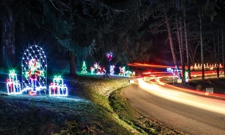 Admission for One Car to Celebration of Lights (November 26– December 28)