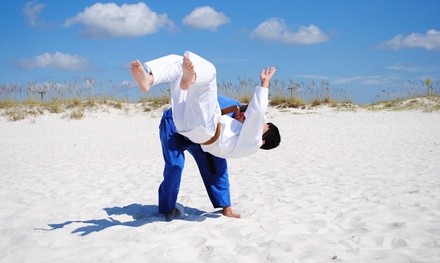 $20 for $80 Worth of Martial-Arts Lessons — Gulf Shores Martial Arts