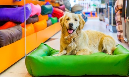 Three or Five Days of Daycare for a Dog of Any Size at Preppy Pet (Up to 55% Off)