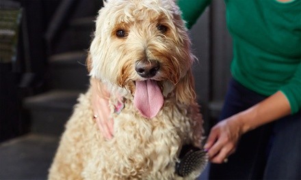Self-Service Dog Bath at Happy Tail Grooming Salon (Up to 53% Off). Two Options Available.