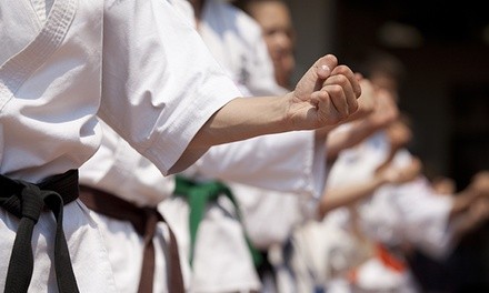 One Month of Unlimited Martial Arts Classes for One or Two Children at Oom Yung Doe NW - Kirkland (Up to 91% Off)