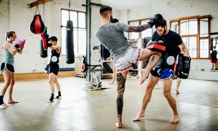Five Classes or One Month Membership for Muay Thai Classes at T3MA (Up to 65% Off)