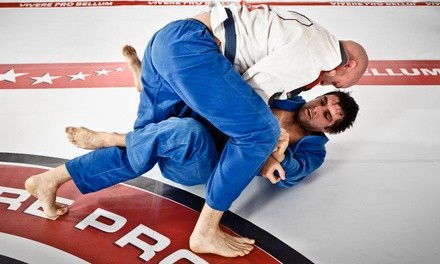 Up to 79% Off on Martial Arts / Karate / MMA - Activities at Watson Martial Arts
