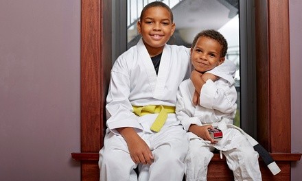 8, 16, or 36 Martial Arts Lessons with Uniform T-Shirt at Robinson's Taekwondo (Up to 86% Off)