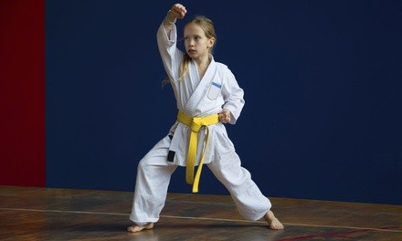 $35 for $140 Worth of Martial-Arts Lessons — Pruter's Sport Taekwondo Martial Arts Fitness