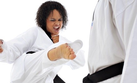 $40 for $80 Worth of Martial Arts — Full Metal Fitness