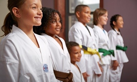 Up to 75% Off on Martial Arts Training at USA Taekwondo Center