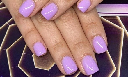 Up to 40% Off on Nail Spa/Salon - Shellac / No-Chip / Gel at Elegant Rose Nail Spa