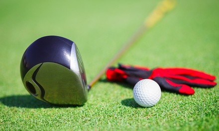 One 90-Minute Golf Training for One or Two at Arizona Golf Instructor (Up to 52% Off)
