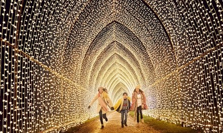 Lightscape Admission for Adult or Child at Lightscape at Houston Botanic Garden Through January 2, 2022 (Up to 25% Off)