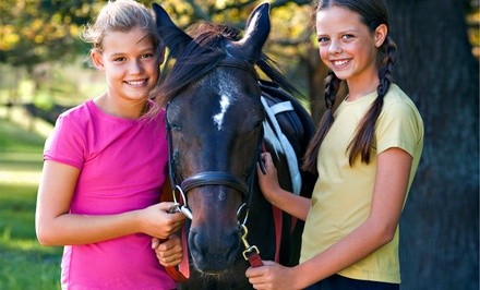Up to 28% Off on Farm Tour at Hope for Hooves Rescue
