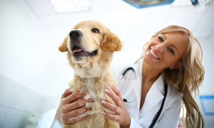 $45 for Full Exam and One Year Vaccines at Countryside Animal Hospital ($89.71 Value)