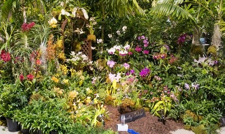 Tamiami International Orchid Festival (October 1–3)