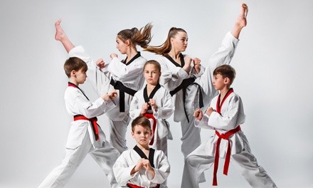 Up to 76% Off on Martial Arts Training for Kids at Northwest Martial Arts
