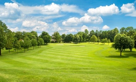 Up to 48% Off on Golf - Training at Roy McQuaig golf