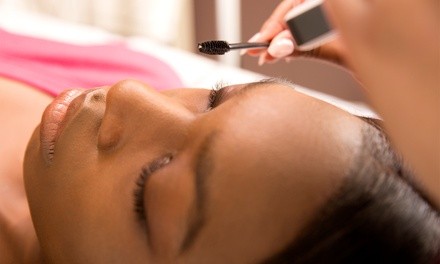 Up to 43% Off on Eyelash Extensions at The Beauty Spot