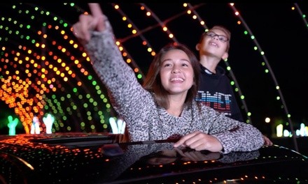 General or VIP Admission for One Carload to Radiance! Holiday Light Spectacular (Up to 27% Off)