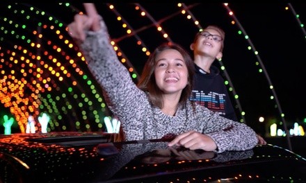 General or VIP Admission for One Carload to Radiance! Holiday Light Spectacular Through Dec. 31 (Up to 27% Off)